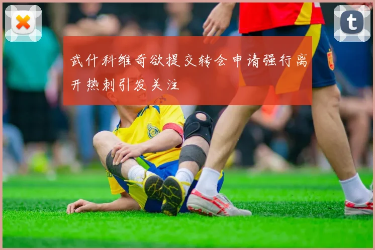 武什科维奇欲提交转会申请强行离开热刺引发关注